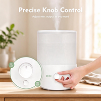 Humidificateur ultrasonique 2,5 L à lumière chaude, atomisation, humidistat, mode veille silencieux, remplissage par le haut, réservoir facile à nettoyer, pour chambre et pépinière