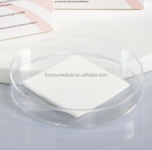 Apósito <span class=keywords><strong>de</strong></span> Colágeno Bovino 100% al por Mayor para Distribuidores Médicos - Product Image 1