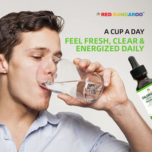Gocce di liquido clorofilla di vendita calda sostengono la salute del fegato intestino pulito e deodorante pH bilanciato e integratore per la salute della pelle - Product Image 2