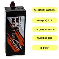 Batterie de vol intelligente rechargeable de qualité professionnelle pour drone télécommandé T-DRONES 6S 36000mAh
