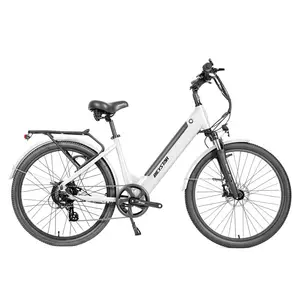 좋은 품질 자전거 Bicicle Electrica Mtb Bicicle Elettric 전기 자전거 제조 업체 가격