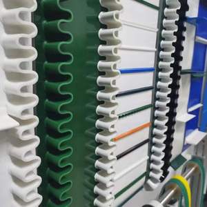 14 ans épaisseur Personnalisé bâtiment Circulaire 3mm Ceinture L'aéroport Extérieure <span class=keywords><strong>pvc</strong></span> rugueux top convoyeur ceinture - Product Image 5