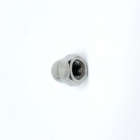 DIN 1587 Stainless Steel Cap Nuts Closed End Acorn Nuts for Bolt End Protection and Machinery Assembly
