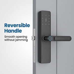 Serratura Intelligente Multilingue Stile Moderno - Ingresso Senza Chiave 5-in-1 con App Tuya - Serratura Biometrica Antieffrazione Grado C - Product Image 1