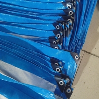 Bâche en PE tissée enduite robuste, imperméable, bleue et blanche, pour toiture, potager et abri automobile