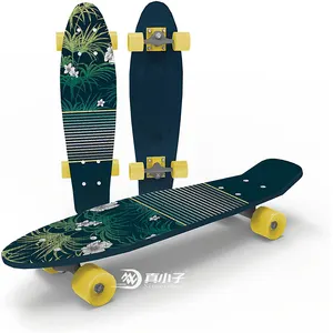 Skateboard Complete Fish Penny Skate Board 22 Inch Skateboard