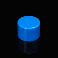 Tapas de extremo de PVC estándar DIN de plástico de 30mm y 12 pulgadas de alta calidad