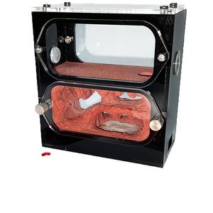 Torre d'acqua idratante in acrilico per formicaio, nido per formiche in cemento, casa per l'allevamento della regina, accessori per formicaio in plastica - Product Image 2