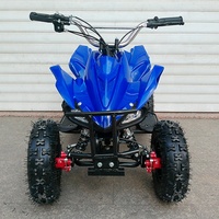 ATV Infantil de 49cc, 2 Tiempos, Buggy Quad, Bicicletas de Pedales, ATV con Llantas Anchas a Precio Económico
