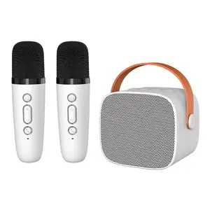Sıcak satış P2 elektronik açık mic hoparlör karaoke makinesi yetişkinler için kablosuz mikrofon ile Karaoke doğum günü partisi hediyeler