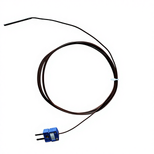 หัววัดเซนเซอร์แบบ <span class=keywords><strong>T</strong></span> หัววัดโลหะ -200 ถึง 260 ℃   เทอร์โมคัปเปิลแบบ <span class=keywords><strong>T</strong></span> พร้อมปลั๊กขนาดเล็ก - Product Image 2