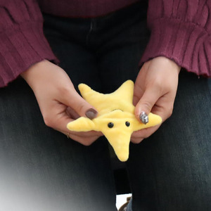 Cuscino Sensoriale a Forma di Stella C016, Morbido Antistress, Calmante per Ansia, Comfort, Concentrazione, Occupazione Manuale per Anziani e <span class=keywords><strong>Autismo</strong></span> - Product Image 3