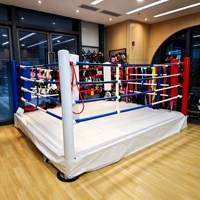 Ring de boxe pliable sur mesure, plateforme d'entraînement portable et repliable avec toile et structure en acier pour salle de sport, club, maison, compétition