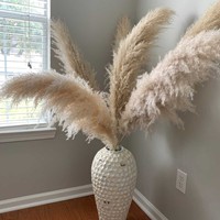 Dekorasi Rumah Gaya Boho untuk Pernikahan, Halloween, Hari Ibu & Hari Valentine, Bunga Rumput Pampas Kering Batang Besar 110-120cm