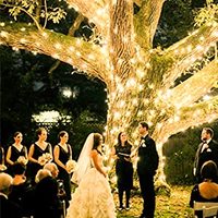 Guirlandes lumineuses LED intelligentes pour extérieur, lumières décoratives, décoration de mariage, guirlandes lumineuses LED