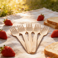 Fourchettes jetables en bois écologiques biodégradables compostables pour fêtes, 160 mm, bois de bouleau de qualité A, Luckyvanpin RX-WF160