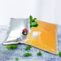 Sac en boîte (BIB) en plastique aseptique personnalisé de 3L, 5L, 10L, 15L pour le stockage alimentaire, le café, le vin, le sirop, le jus, l'eau et les liquides, avec distributeur à valve Vitop