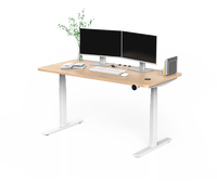 Bureau de travail électrique réglable en hauteur pour ordinateur de bureau intelligent JIECANG pour la maison