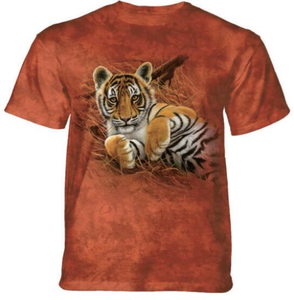 Small Size DTG Printer T Shirt Direct <strong>Printing</strong> <strong>Machine</strong> - Product Image 3