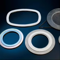Joint plat en métal certifié ISO, normes ASME B16.20 et DIN, en acier inoxydable 304/304+FG/CS, de 1/2 à 60 pouces, pour l'étanchéité des équipements