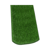 Dream Turf Plastic Gold Mining Grass Dreamtruf Gold Mining Washing Hard Green Carpet Dreamturf Karpet