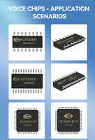 Puce audio MP3 Bluetooth V5.1 32 bits Jieli AC6954C8 avec horloge calendrier, USB 2.0 OTG, SPI Flash 2.2-5.5V, boîtier QFN52, -20~70°C