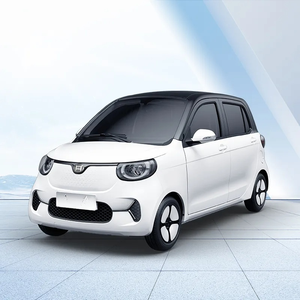 EEC RHD auto elettrica EV nuova auto elettrica piccola Mini auto elettrica - Product Image 1
