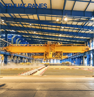 Grue à pont multifonctionnelle en cuivre électrolytique personnalisée pour la fusion et l'électroaffinage du cuivre