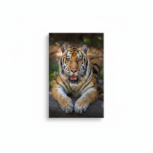 Impresión en Lienzo de Tigre Acostado: Arte Mural Realista de Gato de la Selva, Lienzo Enrollado - Product Image 2