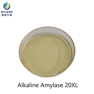Amylase alcaline 20XL pour liquides de lavage automatique avec élimination rapide des taches, économie d'eau et d'énergie - Product Image 4