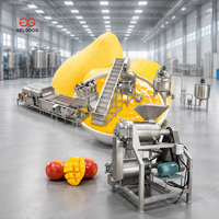 China Mango Dubbelkanaals Fruitwas- en Pulpa-extractiemachine en -snijmachine Mango Pulpa-extractor Mango Pulpa-machine