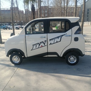 Vehículo Eléctrico Utilitario NE para Adultos, Duradero, con Autonomía de <100 km, Fabricado en China, Potencia Máxima de 3000 W - Product Image 4