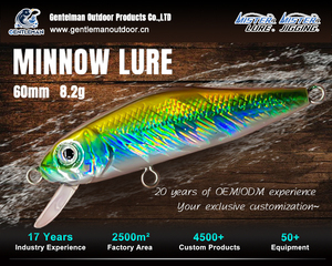 Señuelo de Pesca MISTER LURE de 8.2g y 60mm, Señuelo de Lanzamiento para Agua Dulce, Ojos 3D con Anzuelo, Acción de Natación Vívida, Cebo Duro - Product Image 4