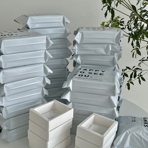Bolsas de Correo Personalizadas, Bolsas de Polipropileno Biodegradables, Color Beige Mate, Impermeables - Product Image 1