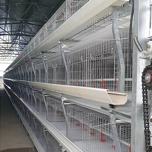 Cage pour poulets de chair à batterie automatisée de 5 à 6 semaines, nouvelle maison de couche de condition pour l'utilisation de la ferme de lapins et d'oiseaux pour les fermes du Kenya - Product Image 6