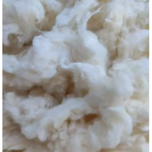 Huesca de Algodón Limpia y Blanqueada para Hilos OE, Origen Vietnam, 100% Algodón con Color Natural, 8mm - 20mm, Blanco Blanqueado - Product Image 2