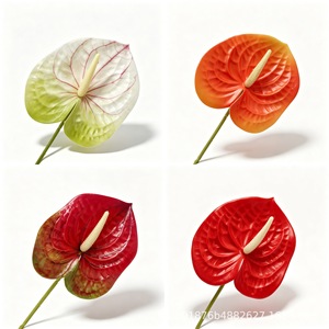 Fleurs artificielles Anthurium, branche unique, multicolores, pour la décoration de la salle de mariage - Product Image 5