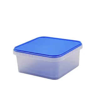 Plastic in mold label food container cookie container biscuit cake food container with lid handle