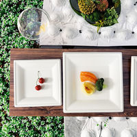SINCERE Usine En Gros Jetable Eco Canne À Sucre Bagasse Plaques Carrées Plateaux 8 Pouces pour La Fête
