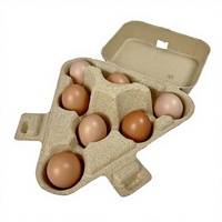 Boîte en carton de 7 compartiments en fibre de cellulose, écologique, personnalisable, étanche, réutilisable, portable, pour emballage alimentaire sûr en cuisine