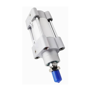 กระบอกสูบมาตรฐาน DSBG DSBG-100 DSBG-100-40/50/80/100/125/150/160/200-PPVA-N3 - Product Image 2