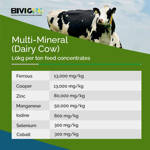 Mélange de Suppléments Minéraux Organiques Chélatés pour Bovins, Bovins à Viande, Vaches laitières, Ovins et Caprins – Fournisseur Fabricant - Product Image 6