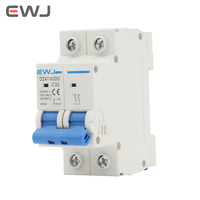 Disyuntores eléctricos de CC, disyuntores, doble 2 polos, tipo C, protector de fugas 1A 2A 3A 4A 6A 10A 16A 20A 25A 32A