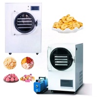 Déshydrateur alimentaire automatique par lyophilisation pour la transformation des aliments, fruits et légumes, certifié CE, usage domestique