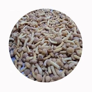 Iqf nameko קפוא קפוא פטריות nameko - Product Image 1