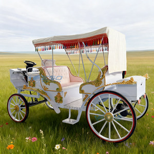Une élégante calèche électrique sans chevaux pour les visites touristiques, les mariages, les excursions royales, les excursions touristiques, la calèche européenne à chevaux. - Product Image 3