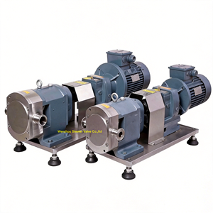 Bomba Sanitaria de Acero Inoxidable de Grado Alimenticio con Rotor y Estator, Bomba de Lóbulos Rotatorios para Productos de Alta Viscosidad - Product Image 2