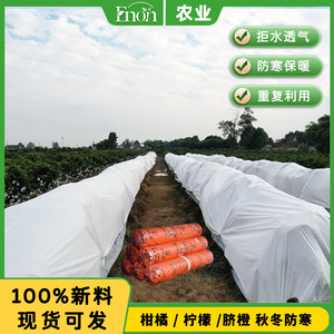 Tela Transpirable Resistente al Frío de 480 cm, Polipropileno Blanco Spunbond para Protección Invernal de Plantas Cítricas en Huertos - Product Image 4