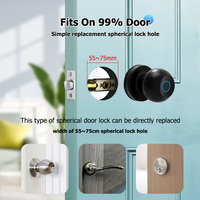 Serrure de porte intelligente numérique à empreinte digitale Tediton Tuya App, en laiton et cuivre, pour chambre à coucher