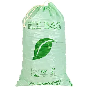 Kustom dicetak Biodegradable es tas tugas berat sekali pakai ramah lingkungan 8lb 10lb plastik tali serut es kubus tas untuk es blok